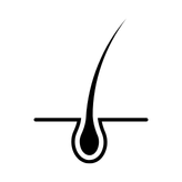 A RESTORATION PROGRAM